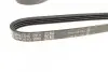 Фото Поліклиновий ремінь DAYCO (4PK1510) зображення 2