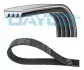 Фото Поліклиновий ремінь FIAT 500L, BRAVA, BRAVO I, CINQUECENTO, DOBLO, IDEA, MAREA, PALIO, PANDA, PUNTO, SEICENTO / 600, SIENA, STILO, STRADA KIA PICANTO I LANCIA MUSA, Y, Y10 1.0-1.4 08.92 DAYCO (4PK675) зображення 1