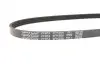 Фото Поліклиновий ремінь FIAT DOBLO, PALIO, PUNTO 1.1/1.2 07.97 DAYCO (4PK690) зображення 3