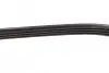 Фото Поліклиновий ремінь DACIA LOGAN, LOGAN EXPRESS, LOGAN MCV, SANDERO NISSAN BLUEBIRD, MICRA II, PRAIRIE PRO PEUGEOT 205 II RENAULT KANGOO EXPRESS, KANGOO II SUBARU JUSTY I 1.0-2.4 12.85 DAYCO (4PK725) зображення 3