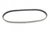 Фото Поліклиновий ремінь DACIA LOGAN, LOGAN EXPRESS, LOGAN MCV, SANDERO NISSAN BLUEBIRD, MICRA II, PRAIRIE PRO PEUGEOT 205 II RENAULT KANGOO EXPRESS, KANGOO II SUBARU JUSTY I 1.0-2.4 12.85 DAYCO (4PK725) зображення 4
