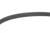 Фото Поліклиновий ремінь CHEVROLET MATIZ, SPARK DAEWOO MATIZ FORD MONDEO III, TRANSIT, TRANSIT TOURNEO RENAULT CLIO I, CLIO II, KANGOO, KANGOO EXPRESS, TWINGO I ROVER 100 0.8-2.0D 10.89 DAYCO (4PK736) зображення 3