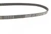 Фото Ремень поликлиновый DAYCO (4PK780) изображение 2