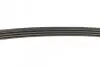 Фото Ремень поликлиновый DAYCO (4PK780) изображение 3