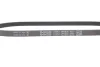Поліклиновий ремінь HONDA CIVIC VI, CRX III, HR-V, LOGO LANCIA THEMA SUZUKI CARRY, GRAND VITARA I, IGNIS II, SAMURAI, SWIFT III, SX4, SX4 S-CROSS, VITARA, X-90 1.3-3.0 07.88 DAYCO (4PK800) зображення 5