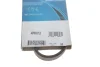 Ремень поликлиновый DAYCO (4PK812) изображение 5