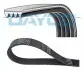 Ремень DAYCO (4PK819EE) изображение 1