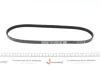 Поліклиновий ремінь HONDA CIVIC IV, CIVIC V, CIVIC VI, CONCERTO, CRX II, CRX III, JAZZ II HYUNDAI ACCENT, ACCENT I, ATOS, COUPE I, COUPE II, ELANTRA III, GETZ 1.0-3.4 11.82-12.18 DAYCO (4PK875) зображення 4