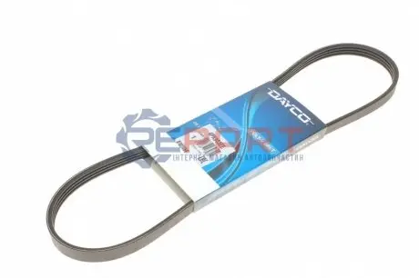 Ремінь генератора Peugeot Expert/Citroen Jumpy/Renault Kangoo 1.0-3.5 88- DAYCO 4PK903EE Купити в Україні