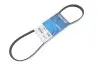 Фото Поліклиновий ремінь CHRYSLER VOYAGER III DACIA LOGAN, SANDERO FIAT UNO NISSAN KUBISTAR RENAULT CLIO II, KANGOO, KANGOO EXPRESS, THALIA I, THALIA II, TWINGO I 1.0-2.4 09.89 DAYCO (4PK905) зображення 2