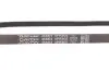 Фото Поліклиновий ремінь CHRYSLER VOYAGER III DACIA LOGAN, SANDERO FIAT UNO NISSAN KUBISTAR RENAULT CLIO II, KANGOO, KANGOO EXPRESS, THALIA I, THALIA II, TWINGO I 1.0-2.4 09.89 DAYCO (4PK905) зображення 4