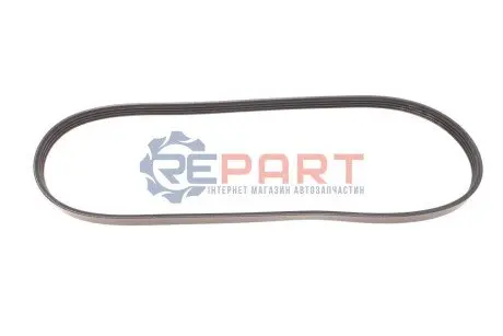 Поліклиновий ремінь CHRYSLER VOYAGER III DACIA LOGAN, SANDERO FIAT UNO NISSAN KUBISTAR RENAULT CLIO II, KANGOO, KANGOO EXPRESS, THALIA I, THALIA II, TWINGO I 1.0-2.4 09.89 DAYCO 4PK905 Купити в Україні
