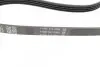 Фото Ремень поликлиновый DAYCO (4PK915) изображение 3