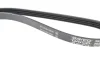 Поліклиновий ремінь JAGUAR XJ, XJSC NISSAN SUNNY II RENAULT CLIO II, KANGOO, KANGOO EXPRESS SUZUKI GRAND VITARA II 1.3-4.0 10.83 DAYCO (4PK995) зображення 4