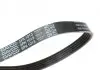 Поликлиновый ремень DAYCO (5PK1013HD) изображение 2