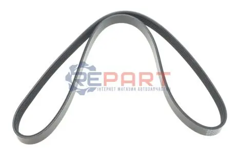 Дорожный пас DAYCO 5PK1084 Купить в Украине