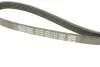 Фото Поліклиновий ремінь DACIA DOKKER, LODGY, LOGAN, LOGAN EXPRESS, LOGAN II, LOGAN MCV, LOGAN MCV II, SANDERO LADA LARGUS RENAULT CLIO II, KANGOO, KANGOO EXPRESS, LAGUNA I 1.4-2.2D 01.96 DAYCO (5PK1110) зображення 3