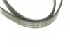 Фото Поліклиновий ремінь DACIA DOKKER, LODGY, LOGAN, LOGAN EXPRESS, LOGAN II, LOGAN MCV, LOGAN MCV II, SANDERO LADA LARGUS RENAULT CLIO II, KANGOO, KANGOO EXPRESS, LAGUNA I 1.4-2.2D 01.96 DAYCO (5PK1110) зображення 4