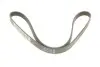 Фото Поліклиновий ремінь DACIA DOKKER, LODGY, LOGAN, LOGAN EXPRESS, LOGAN II, LOGAN MCV, LOGAN MCV II, SANDERO LADA LARGUS RENAULT CLIO II, KANGOO, KANGOO EXPRESS, LAGUNA I 1.4-2.2D 01.96 DAYCO (5PK1110) зображення 5