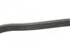 Фото Ремень генератора поликлиновый DAYCO (5PK1125) изображение 2