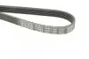 Фото Ремень генератора поликлиновый DAYCO (5PK1125) изображение 4