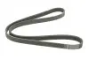 Фото Ремень генератора поликлиновый DAYCO (5PK1125) изображение 5