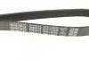 Фото Поліклиновий ремінь CHRYSLER VOYAGER II LAND ROVER FREELANDER I, RANGE ROVER I MG MGF, TF, ZS, ZT, ZT- T MITSUBISHI COLT VI NISSAN ALMERA II, KUBISTAR, MICRA III 1.1-2.8D 10.89 DAYCO (5PK1200) зображення 3