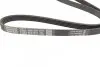Фото Поліклиновий ремінь HYUNDAI ACCENT IV, I20 ACTIVE, I20 II, I30 KIA CEE'D, PICANTO II, PRO CEE'D, RIO III OPEL ASTRA G, ASTRA G CLASSIC, ASTRA H, ASTRA H GTC, ASTRA J 1.2-2.0D 07.87 DAYCO (5PK1210) зображення 2