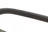 Фото Поліклиновий ремінь HYUNDAI ACCENT IV, I20 ACTIVE, I20 II, I30 KIA CEE'D, PICANTO II, PRO CEE'D, RIO III OPEL ASTRA G, ASTRA G CLASSIC, ASTRA H, ASTRA H GTC, ASTRA J 1.2-2.0D 07.87 DAYCO (5PK1210) зображення 3
