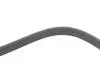 Ремінь генератора Opel Vectra C/Signum 1.6/1.8 02-15 DAYCO (5PK1240S) зображення 3