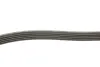 Фото Поліклиновий ремінь NISSAN PATHFINDER II 3.3 09.97-12.04 DAYCO (5PK1280) зображення 5