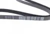 Фото Поліклиновий ремінь MERCEDES A (W168), VANEO (414) 1.4-2.1 07.97-07.05 DAYCO (5PK1290) зображення 2