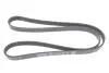 Фото Поликлиновый ремень DAYCO (5PK1310S) изображение 1