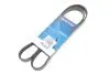 Фото Поликлиновый ремень DAYCO (5PK1310S) изображение 2