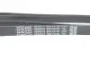 Фото Поликлиновый ремень DAYCO (5PK1310S) изображение 4