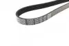 Фото Поліклиновий ремінь ALFA ROMEO 159 CITROEN XM FIAT STILO OPEL ASTRA G, ASTRA G CLASSIC, ASTRA H, ASTRA H CLASSIC, ASTRA H GTC, CORSA D, MERIVA A, SIGNUM, VECTRA C 1.6-3.0 10.84 DAYCO (5PK1450) зображення 2