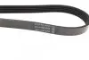 Фото Поліклиновий ремінь ALFA ROMEO 159 CITROEN XM FIAT STILO OPEL ASTRA G, ASTRA G CLASSIC, ASTRA H, ASTRA H CLASSIC, ASTRA H GTC, CORSA D, MERIVA A, SIGNUM, VECTRA C 1.6-3.0 10.84 DAYCO (5PK1450) зображення 3