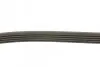 Ремень генератора Rover 800 2.5 90-99 DAYCO (5PK1500) изображение 2
