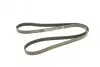 Ремень генератора Rover 800 2.5 90-99 DAYCO (5PK1500) изображение 5