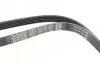 Фото Ремень генератора поликлиновый DAYCO (5PK1545) изображение 2