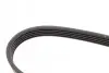Ремень генератора поликлиновый DAYCO (5PK1588) изображение 4