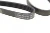Фото Поліклиновий ремінь HYUNDAI ACCENT III, GETZ, MATRIX KIA CERATO I, RIO II 1.5D 12.04-12.11 DAYCO (5PK1745) зображення 2