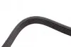 Фото Поліклиновий ремінь HYUNDAI ACCENT III, GETZ, MATRIX KIA CERATO I, RIO II 1.5D 12.04-12.11 DAYCO (5PK1745) зображення 4