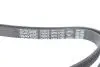 Фото Поліклиновий ремінь HYUNDAI I10 I KIA PICANTO I MITSUBISHI COLT, COLT VI SMART FORFOUR 1.1D/1.5D 08.04-06.12 DAYCO (5PK1790) зображення 4