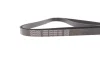 Поліклиновий ремінь HYUNDAI ACCENT III, ELANTRA IV, GETZ, I30 KIA CEE'D, CERATO I, PRO CEE'D, RIO II 1.5D/1.6D 03.05-12.12 DAYCO (5PK1800) зображення 5