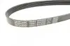 Фото Поліклиновий ремінь LAND ROVER RANGE ROVER III OPEL OMEGA B 2.5D/3.0D 09.01-08.12 DAYCO (5PK2020) зображення 3