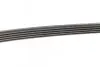 Фото Поліклиновий ремінь LAND ROVER RANGE ROVER III OPEL OMEGA B 2.5D/3.0D 09.01-08.12 DAYCO (5PK2020) зображення 4