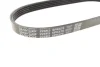 Ремінь генератора Ford Mondeo I/II 1.8TD 93-00 DAYCO (5PK575) зображення 4