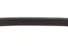 Ремінь генератора Ford Mondeo I/II 1.8TD 93-00 DAYCO (5PK575) зображення 5