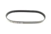 Ремінь генератора Ford Mondeo I/II 1.8TD 93-00 DAYCO (5PK575) зображення 6